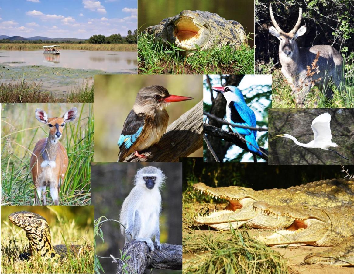 Crocodile Pools River Safaris Gaborone Exterior photo